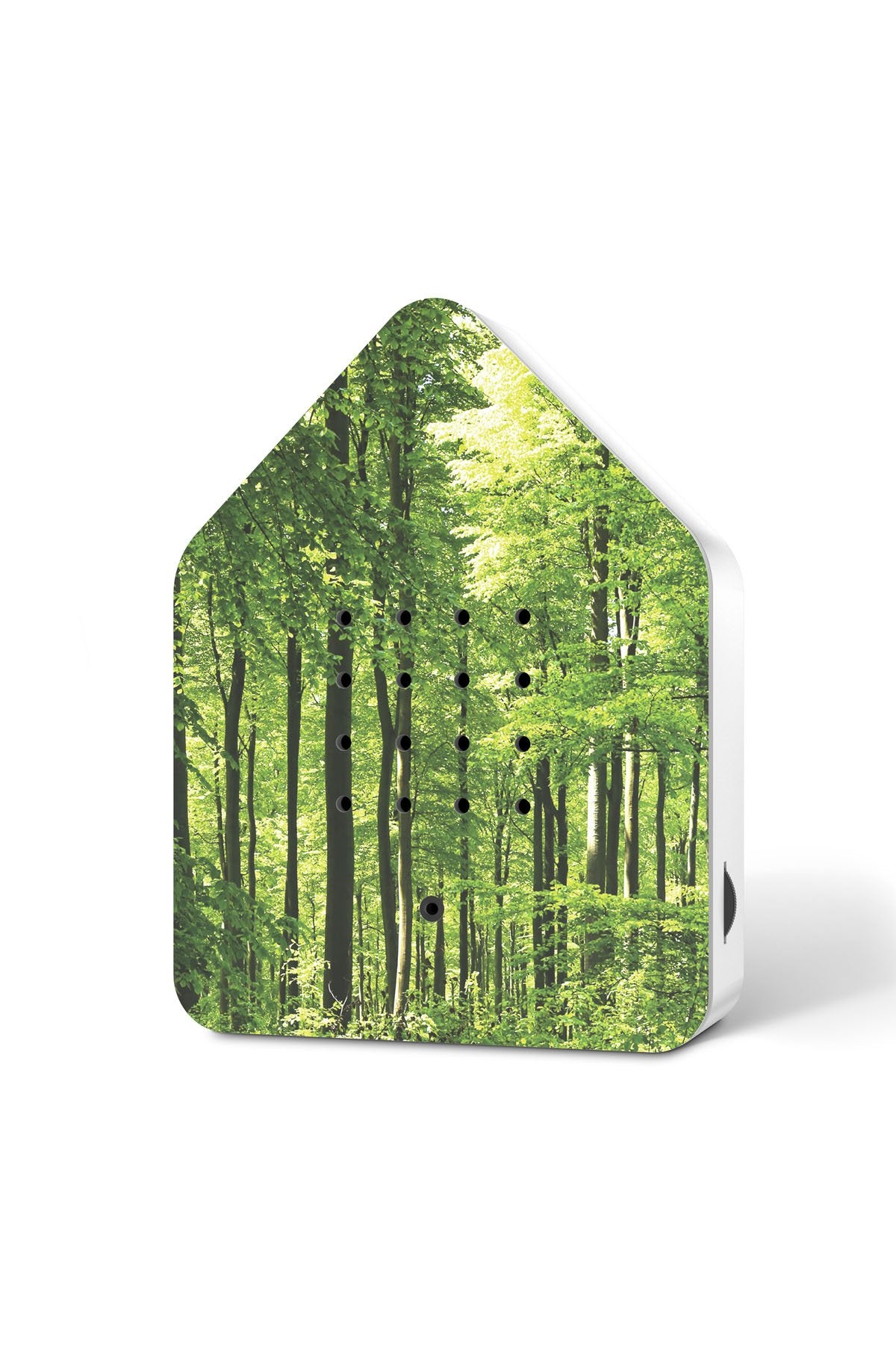 Bewegungsmelder Zwitscherbox Wald Bewegungsmelder Relaxound
