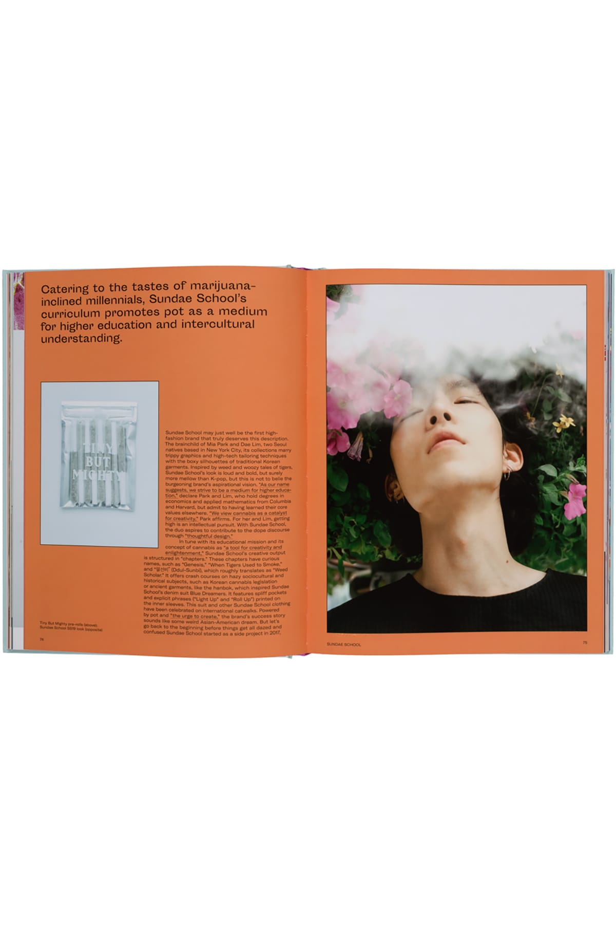 Buch High on Design Bücher Gestalten