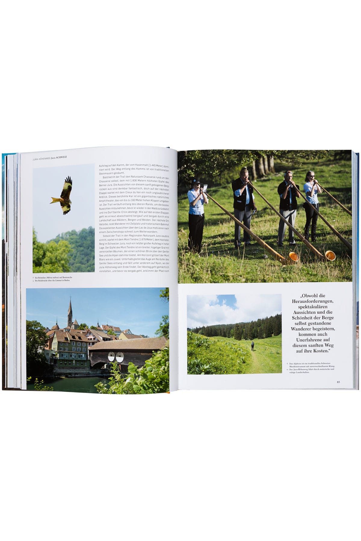 Buch Wanderlust Alpen Bücher Gestalten