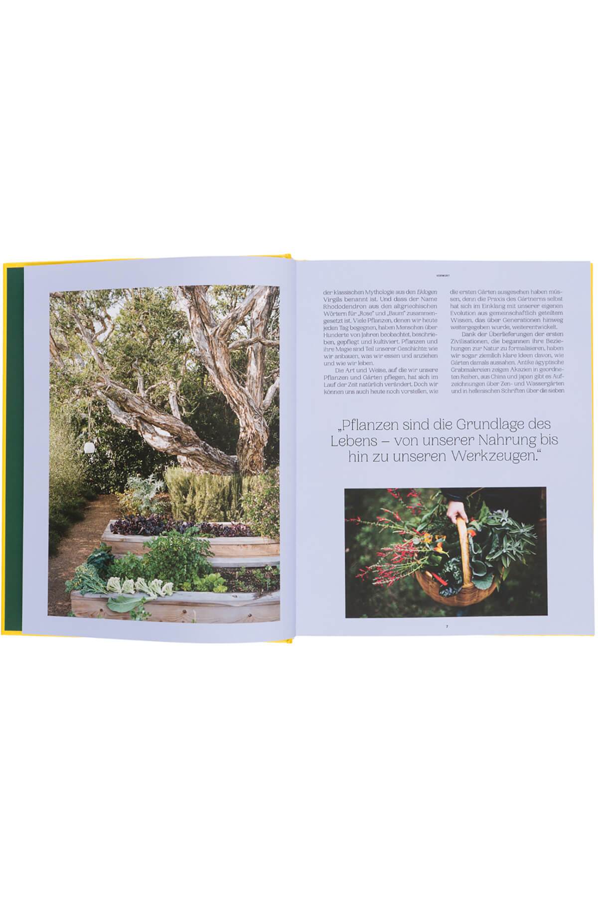 Buch Der Garten Eden - Lebendige Gärten in der Stadt und auf dem Land Bücher Gestalten 
