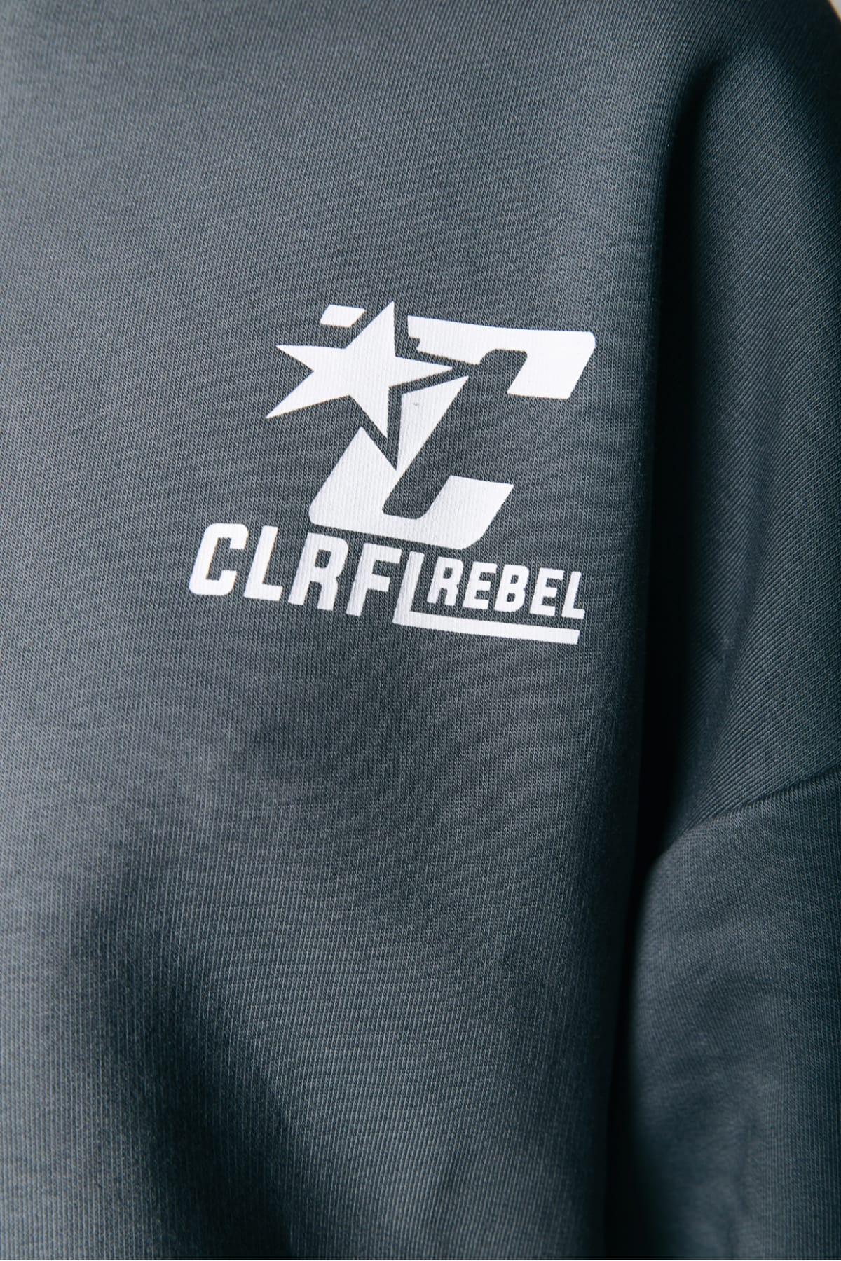 Cropped Hoodie mit großem Backprint Dark grey Sweatshirt Colourful Rebel 